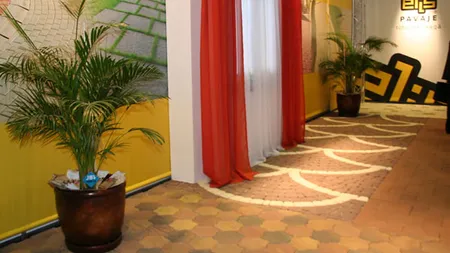 Afacerile Elis Pavaje au urcat cu 47% anul trecut