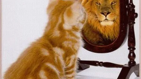 Civilizat, deschis, lider. Cum ne vedem noi insine si cum suntem in realitate