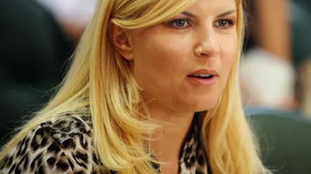 Investitiile facute de Udrea vor fi luate la verificat