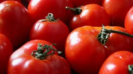 Rosiile romanesti le bat pe cele din import. Cat investesc agricultorii pentru recolte de sute de tone