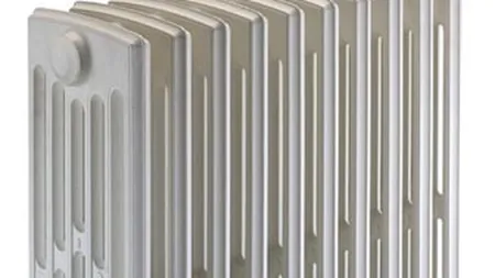 Cum a fost impartita Termoelectrica