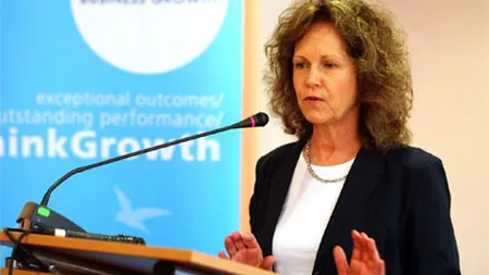 Proiect romano-american, lansat pe piata companiilor de consultanta