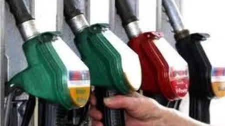 Preluarea de catre Nis Petrol a trei statii de carburanti, analizata de CC