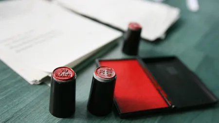 Referendumul se va desfasura in baza Ordonantei de Guvern