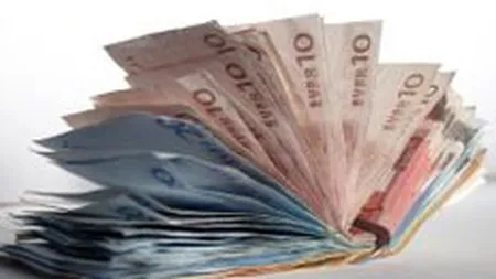 Cursurile BNR pentru euro si dolar au atins vineri noi valori maxime