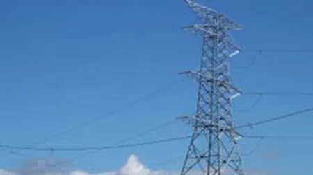 Usitall ar putea investi pana la 400 milioane de euro in Romania