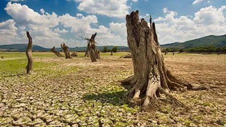 Statele Unite infrunta cea mai grava seceta din ultimii 56 de ani