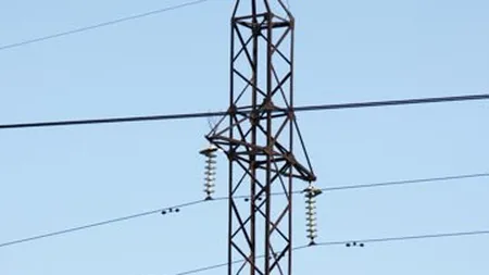 Transelectrica va fi administrata in sistem dualist