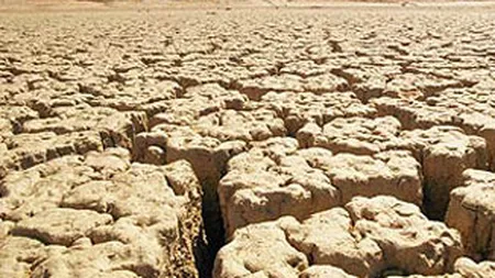 ONU: Seceta din SUA si China ar putea afecta pretul cerealelor