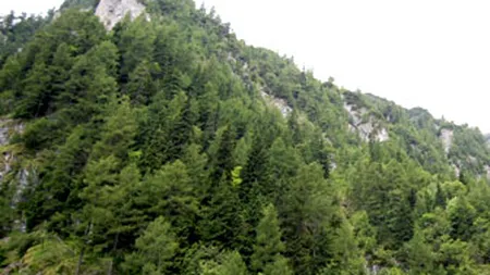 Incendiu in Bucegi. Pompierii nu pot interveni