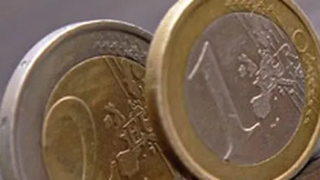 Anul viitor ar putea avea loc un referendum asupra monedei unice europene