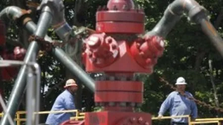 Bulgaria ar putea cumpara gaze naturale din Romania