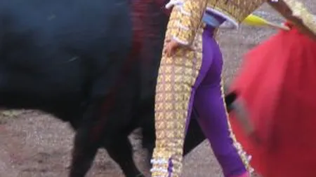 Coridele, din nou la televiziunea publica spaniola, dupa 6 ani de absenta