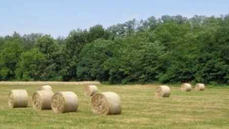 Cum va intra satul romanesc in secolul XXI pana in 2020