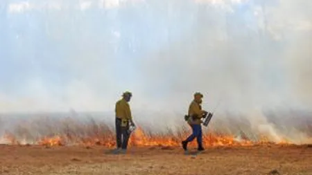Incendii in 35 de judete: Peste 950 de hectare afectate