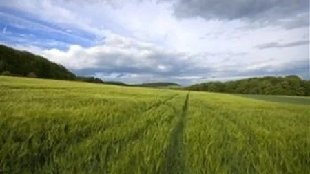 Agricultura bio in Romania: Suprafete tot mai mari