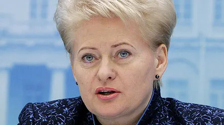 Lituania avertizeaza politicienii din Romania: Poporul va lua povara daca nu va maturizati