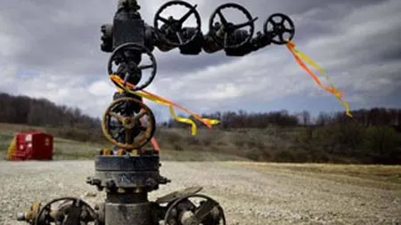 Gazele de sist asteapta decizia UE