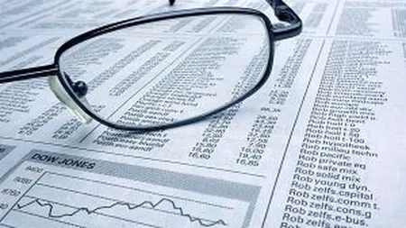 Gabriel Biris si Alexander Hergan candideaza pentru Consiliul de Administratie al Sibex