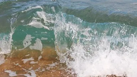 Tichetele de vacanta ar putea fi reintroduse de anul viitor