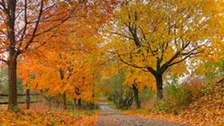 Informare meteo: Racire accentuata in toata tara