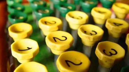 Bursa a deschis indecis, rulajele continua sa fie reduse