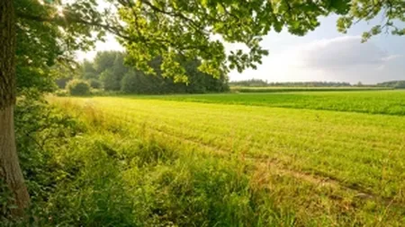 AB Energy: Cogenerarea pe baza de biogaz se va dezvolta alert in Romania