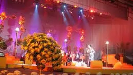 Crizantema de Aur intra in era digitala