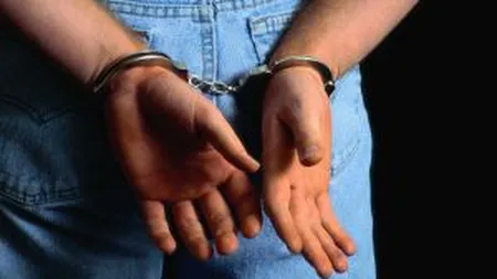 Omul de afaceri Constantin Badescu, arestat in dosarul de evaziune de 12 milioane de euro