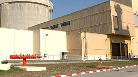 Guvernul, dispus sa cedeze pachetul majoritar la reactoarele 3 si 4