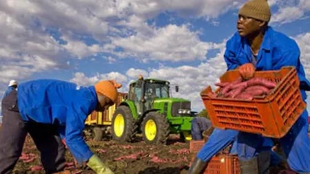 Oameni de afaceri romani pleaca in Africa sa caute oportunitati