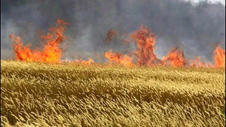 Economia Rusiei, franata de seceta si de scaderea cererii de resurse naturale