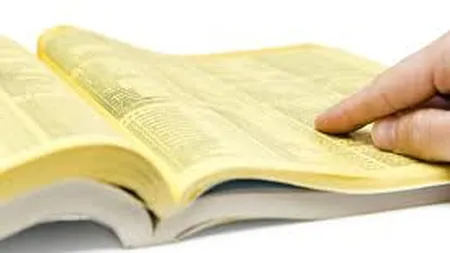 Pagini Aurii intra in faliment