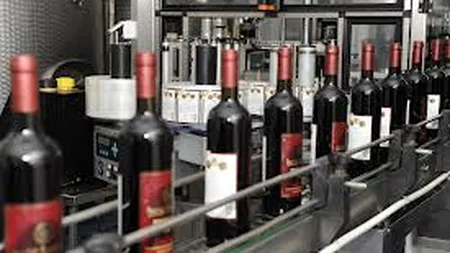 Vincon estimeaza ca va incheia anul cu afaceri de 30 mil.euro