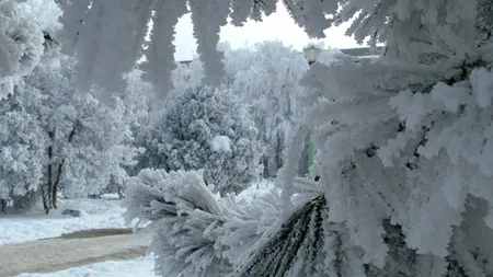 Prognoza meteo pe 3 luni. Cum va fi vremea in decembrie si la inceput de an