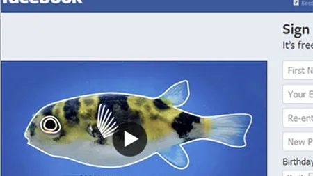 Actiunile Facebook au atins maximul ultimelor 4 luni