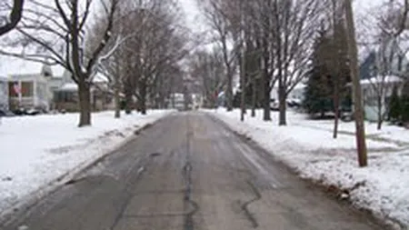 CNADNR a reziliat 2 contracte de deszapezire incheiate cu Romstrade