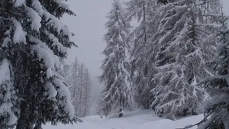 Cod galben de ninsori si ploi in toata tara, in ziua alegerilor