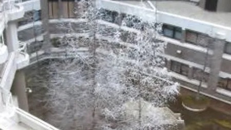 Finalul de an, favorabil tranzactiilor pe piata de birouri