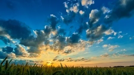 Venitul agricol real din Romania, cea mai abrupta scadere din UE in acest an