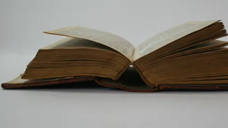 Cel mai rapid roman din lume a fost scris la Bucuresti