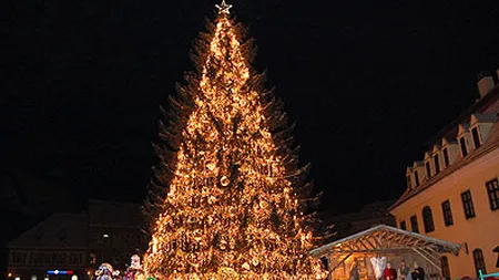 Top 5 pericole pentru afaceri in sezonul rece (P)