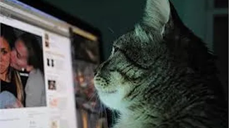 Inventia inedita care te anunta pe Facebook cand a mancat animalul tau