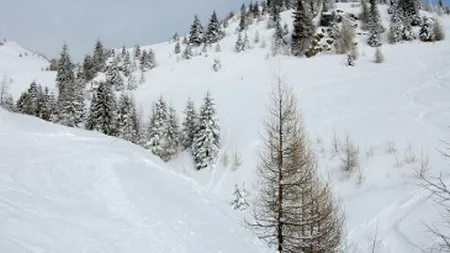 Ministerul Mediului are alocat un buget aproape egal cu cel din 2012