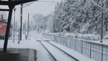 Privatizarea CFR Marfa, prioritatea numarul 1 dupa intalnirea cu FMI