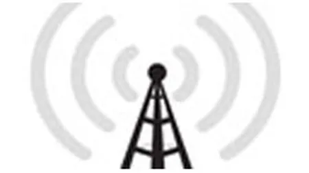 Google pregateste un serviciu telecom wireless de mare viteza