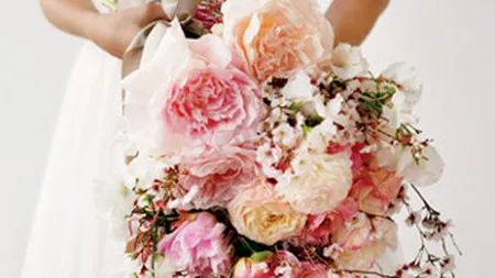 Romania-FMI, de la nunta din interes la un posibil divort: Partenerii se cearta pe bani