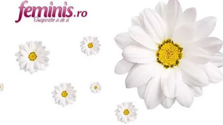 Feminis.ro a inregistrat o crestere record a traficului in luna ianuarie 2013