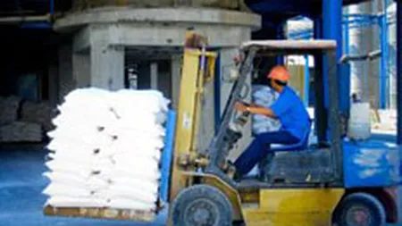 Productia industriala a stragnat anul trecut