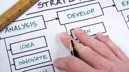 Afacerea CEO la stat: Managerii privati, o poveste demna de Radio Erevan